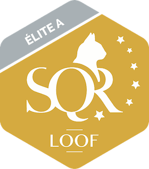 SQR : Elite A