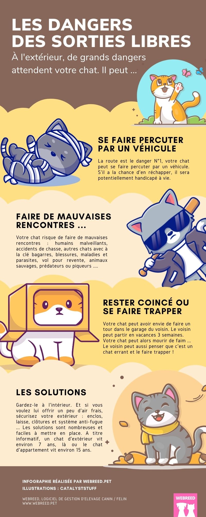 infographie chat extérieur dangers