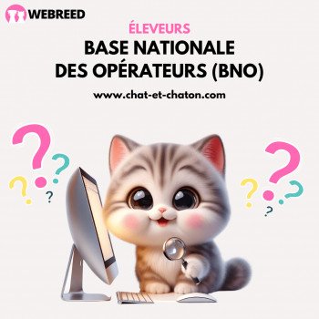 Base Nationale des Opérateurs / BNO éleveurs chats