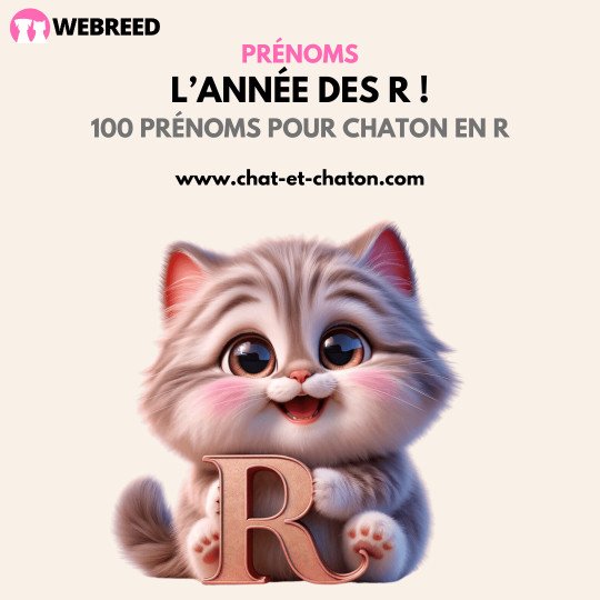 Prénom chat en R : quelques idées originales !