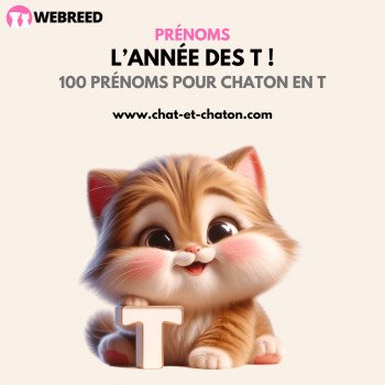 Noms de chat en T pour 2022 : notre TOP 100 !