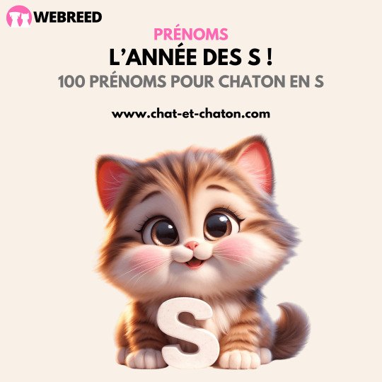 TOP 100 Noms de chat en S pour 2021