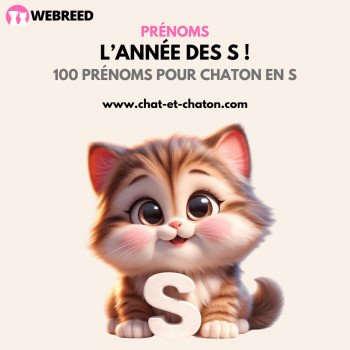 TOP 100 Noms de chat en S pour 2021