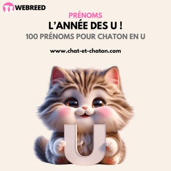 100 Prénoms en U pour votre chaton en 2023