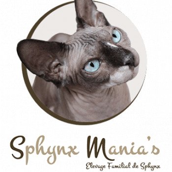 SPHYNX MANIA'S