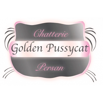 Chatterie Golden Pussycat