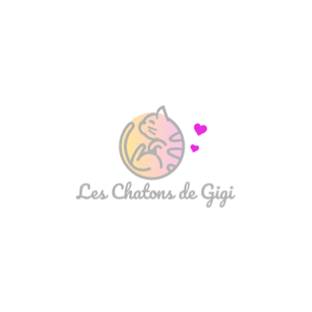 Les Chatons de Gigi