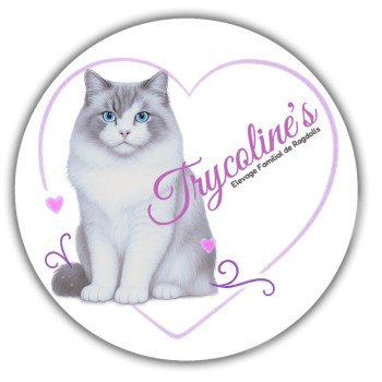 Trycoline’s