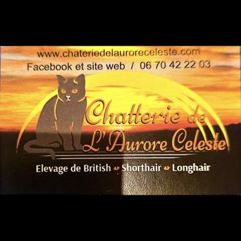 Chatterie de l'Aurore Céleste