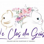 Isabelle - Chatterie Le Clos du Gaïs