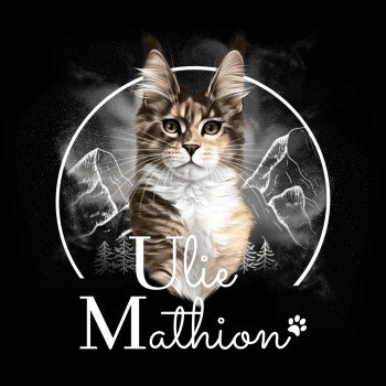 Ulie Mathion Femelle Maine coon