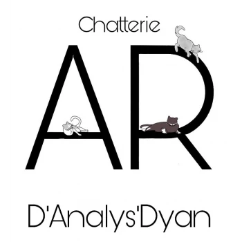 Chatterie d'Analys'dyan