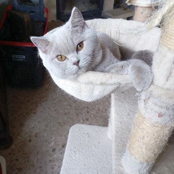 Chatterie du tendre secret