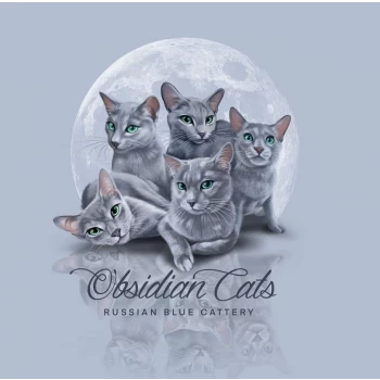 Obsidian cats