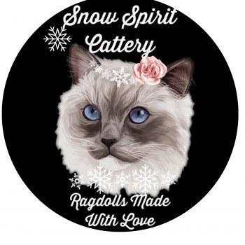 Chatterie Snow Spirit’s