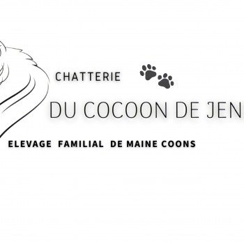 Chatterie du Cocoon de Jensha