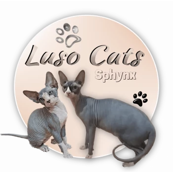 Chatterie Luso Cat's