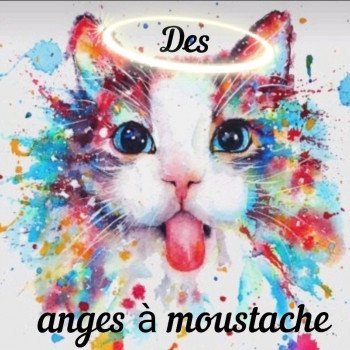 Chatterie des Anges à moustache