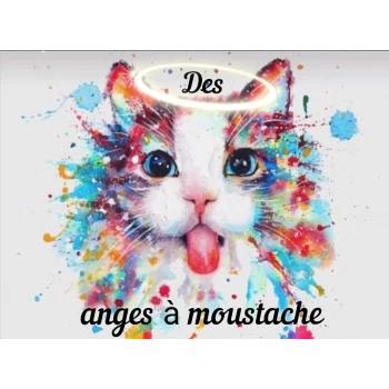 Chatterie des Anges à moustache