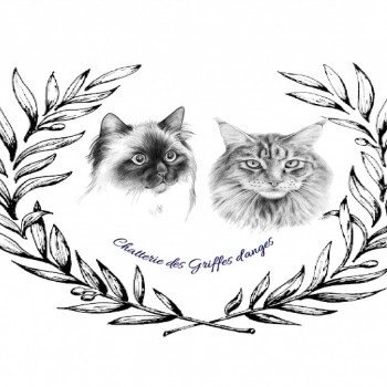 Chatterie des Griffes d'anges