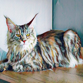 La Chatterie des Étoiles d'Aphéa