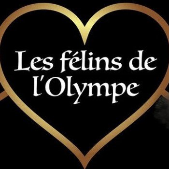 Les Félins de l'Olympe