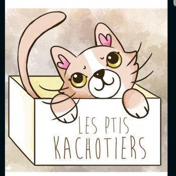 Chatterie des Ptis Kachotiers