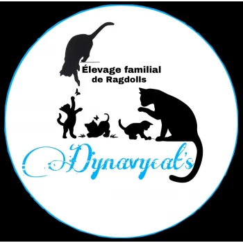 Élevage Dynavycat's