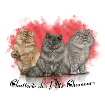Chatterie des Ptits Chamours