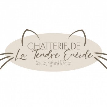 Chatterie de la tendre énéide