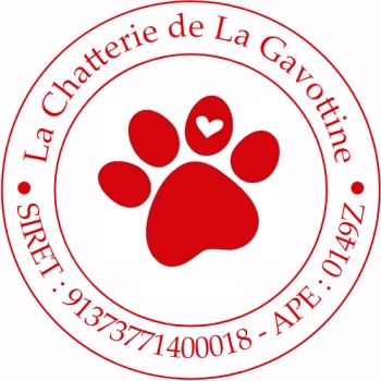 Chatterie de La Gavottine