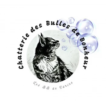 Chatterie des Bulles de Bonheur