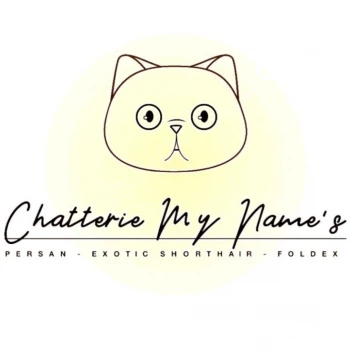 Chatterie My Name's