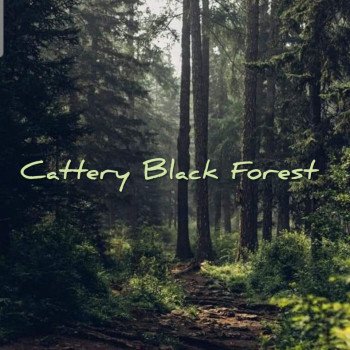 Cattery Black Forest