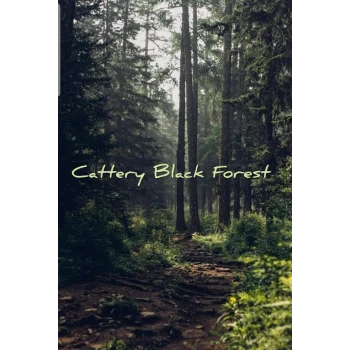 Cattery Black Forest