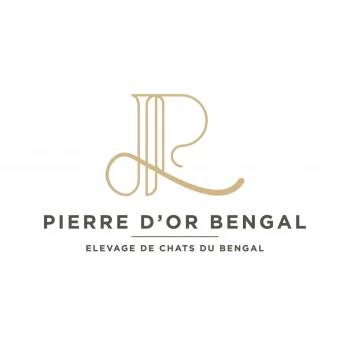 Pierre D Or Bengal
