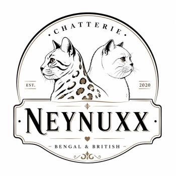 CHATTERIE DE CHEZ NEYNUXX