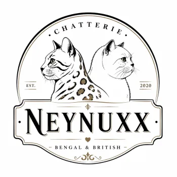 CHATTERIE DE CHEZ NEYNUXX