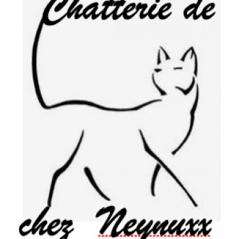 CHATTERIE DE CHEZ NEYNUXX