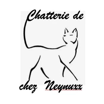 CHATTERIE DE CHEZ NEYNUXX