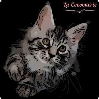 Chatterie La Cocoonerie