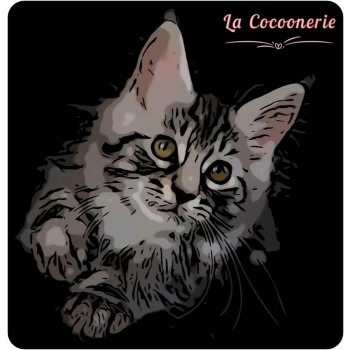 Chatterie La Cocoonerie