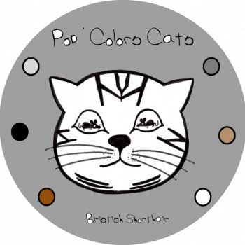 Chatterie Pop’Colors Cats