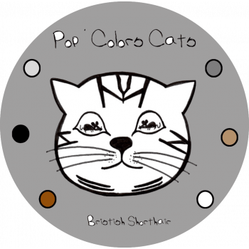 Chatterie Pop’Colors Cats