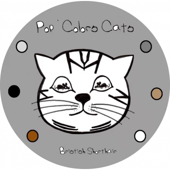 Chatterie Pop’Colors Cats