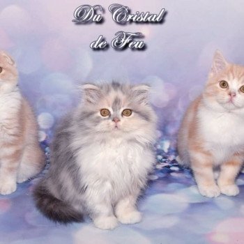 Chatterie du Cristal de Feu