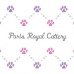Virginie - Paris Royal Cattery
