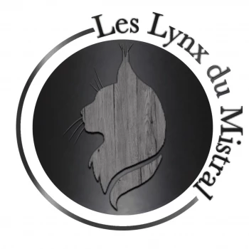 Les Lynx du Mistral