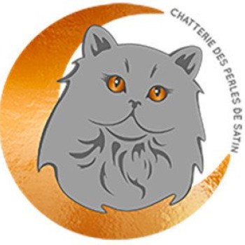 Chatterie des Perles de Satin