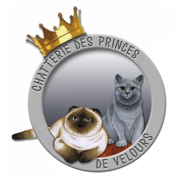 Chatterie des Princes de Velours